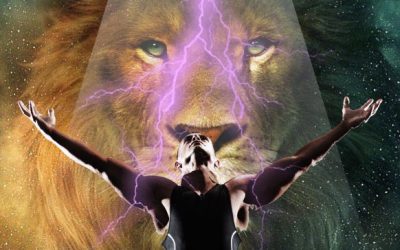 SUPERHÉROES Y ANIMALES – Las habilidades de los animales inspiran los superpoderes de algunos héroes del cómic