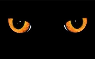 SUPERSTICIONES, NUEVAS CREENCIAS Y OTRAS EXTRAVAGANCIAS