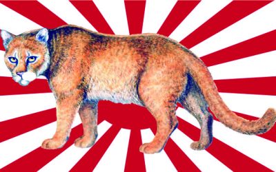 YAMAPIKARYA: Me parece haber visto un lindo gatito…