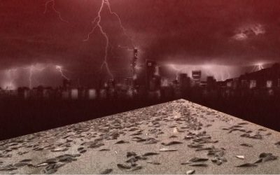 PECES EN EL CIELO – Cuando los dioses se vuelven locos