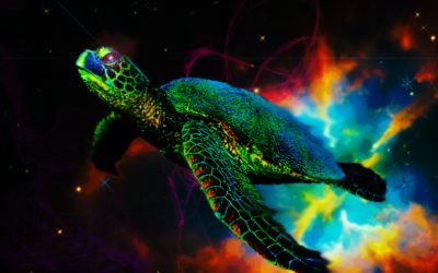 TORTUGAS MÁGICAS Y GUERRERAS