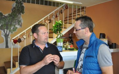 Moringa – Un prodigio