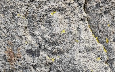 ¿Podían ordenar el tiempo los antiguos canarios con el posicionamiento de horizonte de las estrellas?