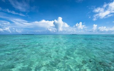 Crónicas de lo misterioso en nuestro arranque de temporada. CSB T11-1