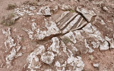 La Quesera de Zonzamas, la liturgia del ciclo agrícola