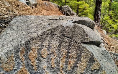El mensaje rupestre de Tierras Nuevas, en el Bejenao de La Palma