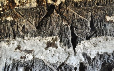 Los grabados rupestres de Canarias