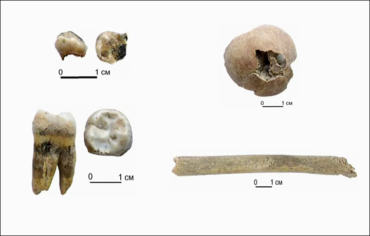 Denisovanos, nuevos hallazgos, mayor antigüedad