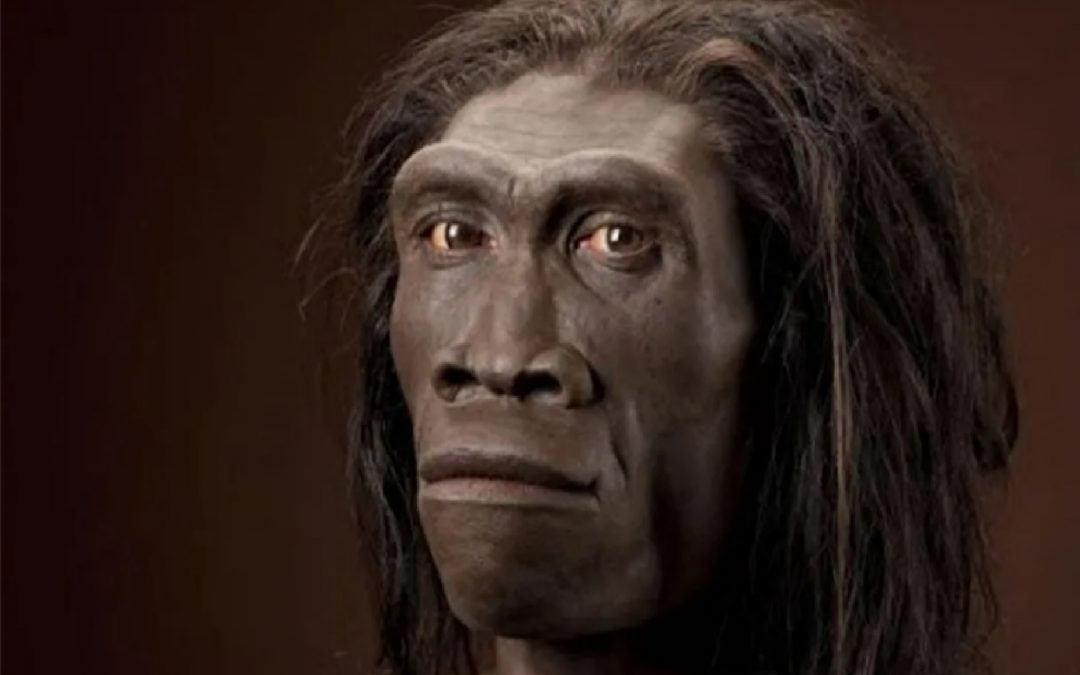 Homo erectus: ¿hablaba y navegaba nuestro primo lejano?